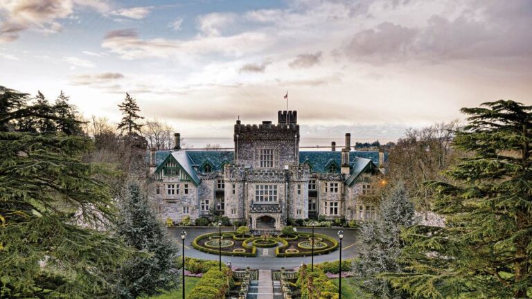 xr:d:DAFm8WaZKTQ:111,j:1661101461195367792,t:23080818